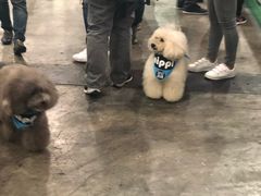 -香港会议展览中心演讲厅