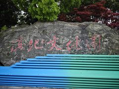 -长兴太湖图影湿地文化园