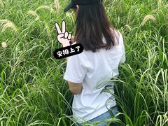 -光明小镇欢乐田园