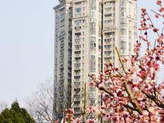 -新虹桥中心花园