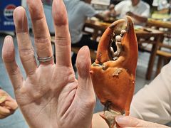 -养牛邓·潮汕牛肉海鲜自助火锅(广州店)