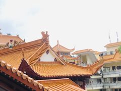 -深圳仙湖植物园