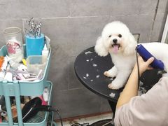 -萌萌喵宠物(百水芊城阅水坊店)