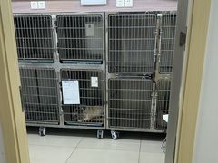 -艾贝尔宠物医院 ·中兽医·宠保定点(北门桥店)