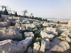 -原山国家森林公园