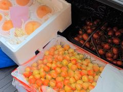 -西郊国际农产品交易中心