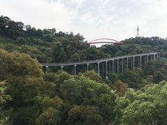 -金鸡山公园