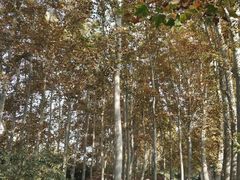 -河南省黄河迎宾馆