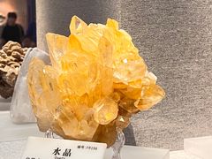 -贵州省地质博物馆