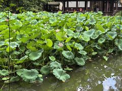 -成都杜甫草堂博物馆