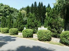 -星海公园(番禺区)