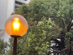 -香港大学