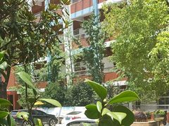 -武汉市洪山区卓刀泉小学