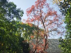 -河姆渡遗址博物馆