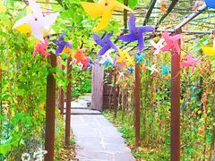 -南窖乡水峪村山情农家