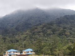 -海南热带雨林国家公园吊罗山景区