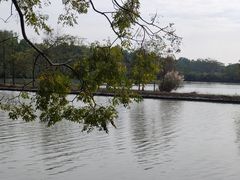 -大湾区中央湿地公园