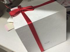 -BLACKSWAN黑天鹅(环球店)