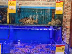 -百年银屏蚝烙·潮汕菜·非遗(乐山店)