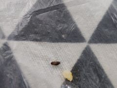 -QQ海鲜餐厅