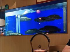 自助取餐区-望蓉城·古法酸菜鱼(世纪汇店)
