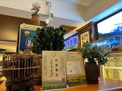 -蒙醇鲜酿酸奶