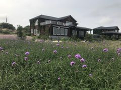 -渔岛海洋度假区