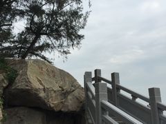 -宋井风景区