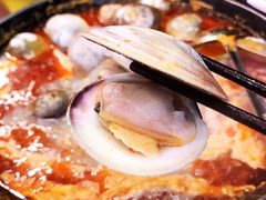 大白贝-水哥卜卜贝(东晓·胜汇里店)