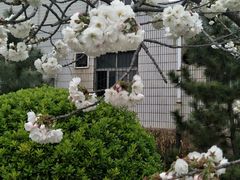 -山东外贸职业学院