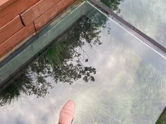 -楠溪江石桅岩