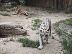 -北京野生动物园