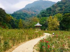 -广州市石门国家森林公园