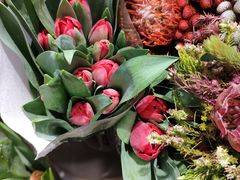 -双季花艺园艺市场(浦东店)