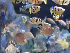 -成都浩海立方海洋公园