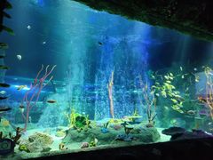 -沈阳海洋探索中心