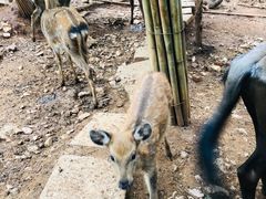 -昆明动物园