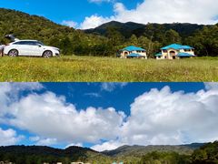 -海南热带雨林国家公园吊罗山景区