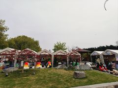 -嘉定紫藤园