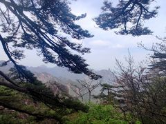-黄山风景区