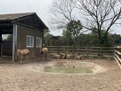 -苏州太湖西山岛开心农场