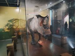 -广东中医药博物馆