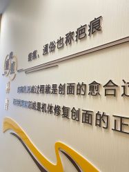 -正璞医疗美容·皮肤修复·微整注射