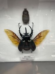 -酷嗒动物文化乐园(cutezoo西溪乐天城店)