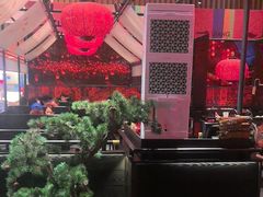 -天辣(金桥啦啦宝都店)