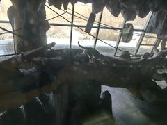 -鄂尔多斯野生动物园