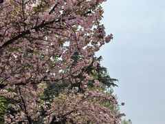 -木塔寺遗址生态公园