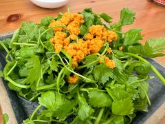 -海胆小馆(东北水饺·春柳店)