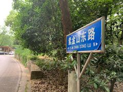 -紫金山山顶公园