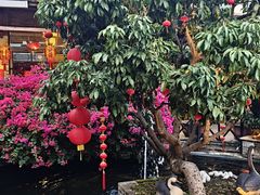 -猪肉婆私房菜(容桂总店)